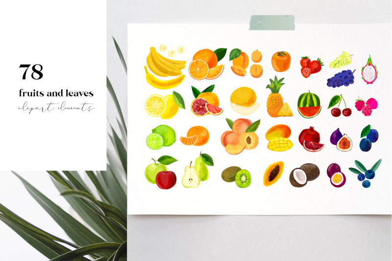 juicy-fruits-clipart-collection