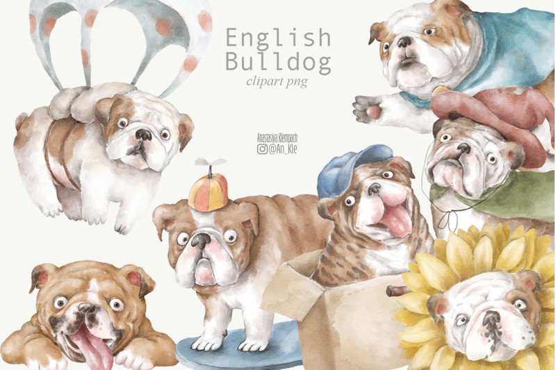 english-bulldog-characters-patterns