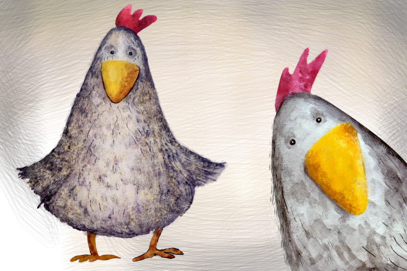 hens-illustrations