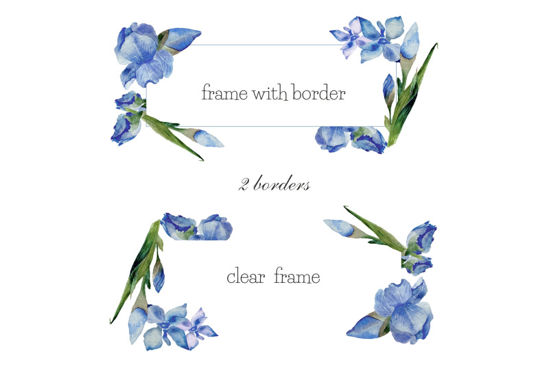 watercolor-illustration-of-blue-irises-floral-clipart-png