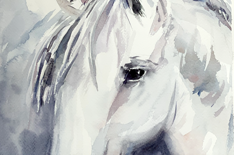 white-horse-watercolor-print