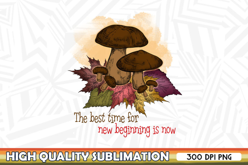 the-best-time-for-new-beginning-mushroom