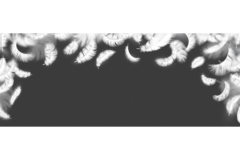 falling-feathers-background-realistic-isolated-fluffy-bird-white-plum