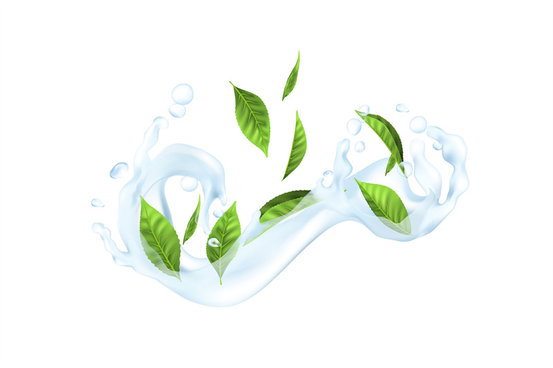 water-and-leaf-realistic-green-plants-in-stream-of-liquid-3d-transpa