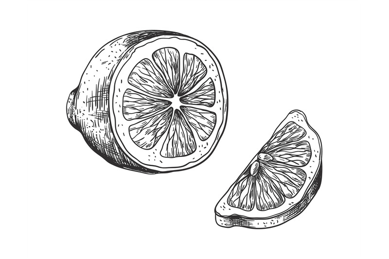 hand-drawn-lemon-vintage-outline-juicy-slice-and-half-lime-or-orange