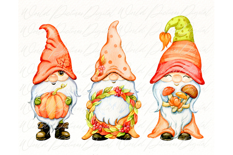 watercolor-fall-gnomes-clipart-autumn-gnome-pumpkin-png