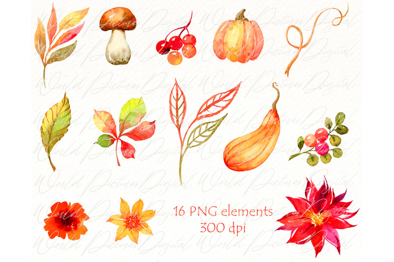 watercolor-fall-gnomes-clipart-autumn-gnome-pumpkin-png