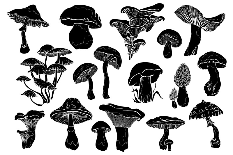 mushrooms-vector-clipart