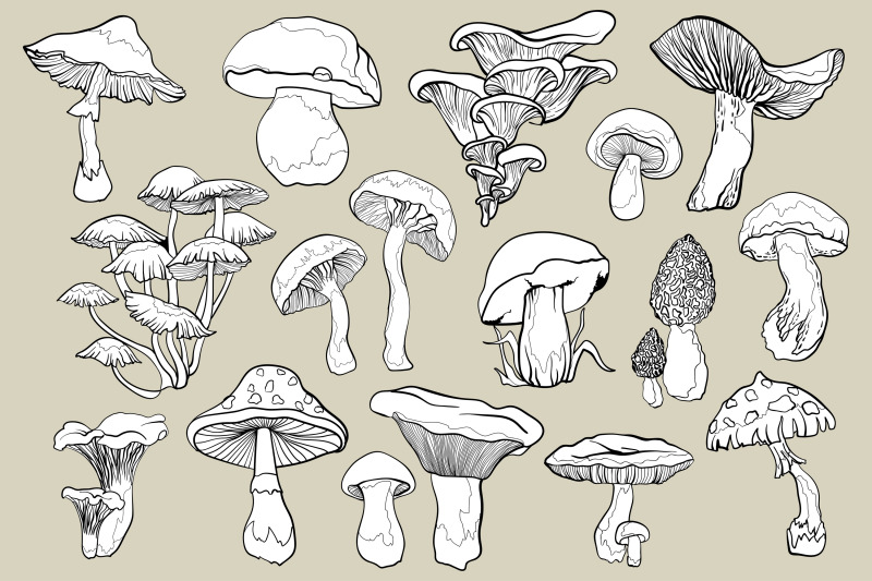 mushrooms-vector-clipart