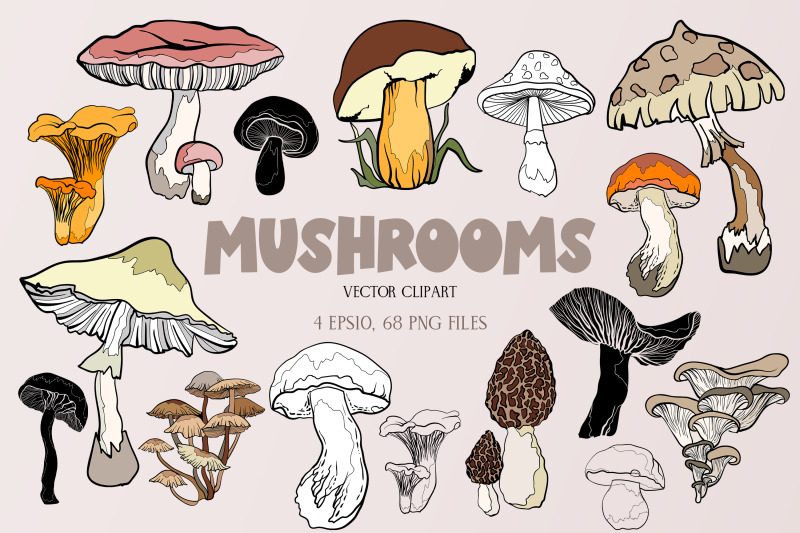 mushrooms-vector-clipart