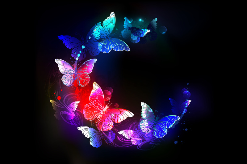 neon-night-butterflies