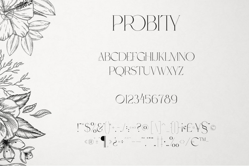 probity-creative-serif-font-more