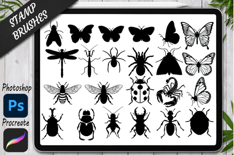 insects-stamps-brushes-for-procreate-and-photoshop