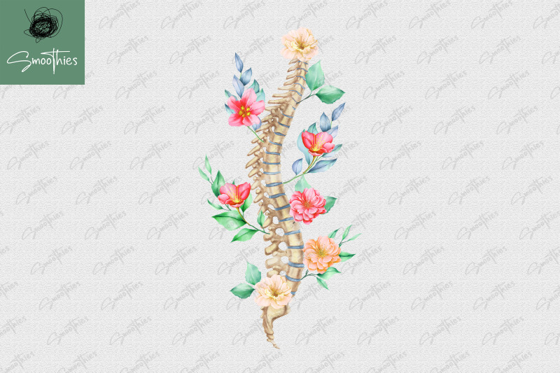 anatomy-spine-with-flower-design-png