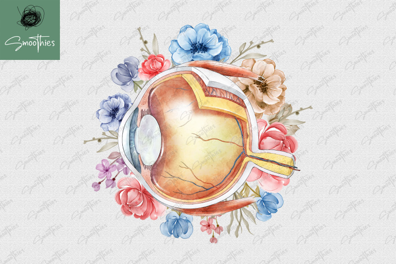 anatomy-eye-with-flower-design-png