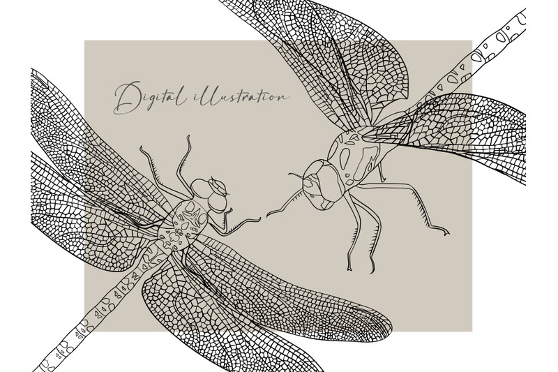 dragonfly-clipart-dragonfly-png-dragonfly-eps-dragonfly-ai