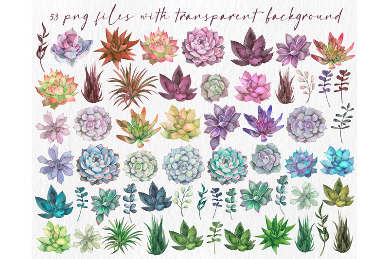 watercolor-succulent-cactus-clipart-watercolor-flowers-floral-png