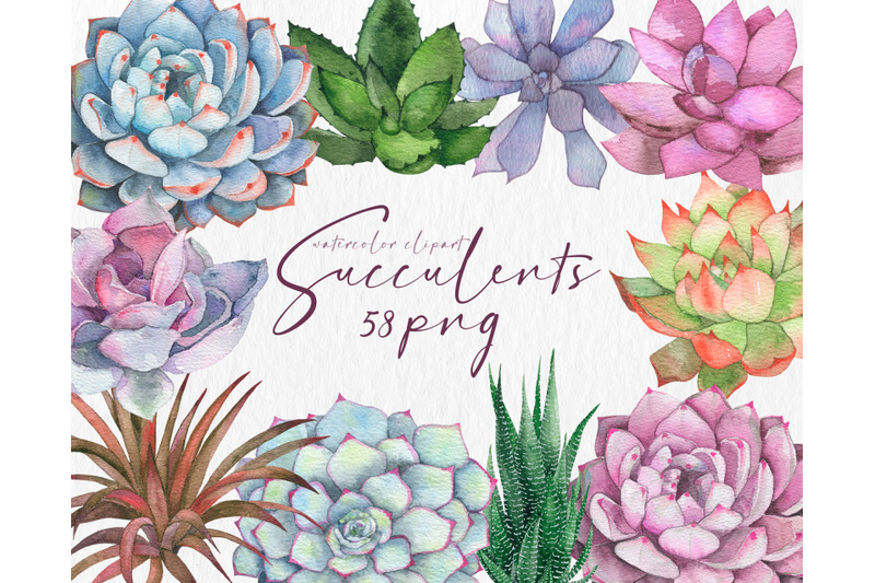 watercolor-succulent-cactus-clipart-watercolor-flowers-floral-png