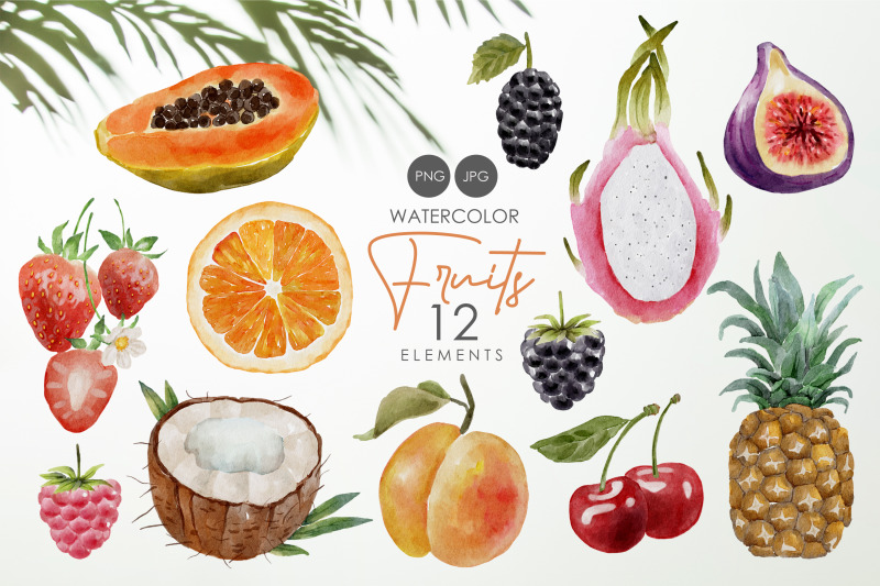 watercolor-fruits-clipart-tropical-elements-summer-clip-art