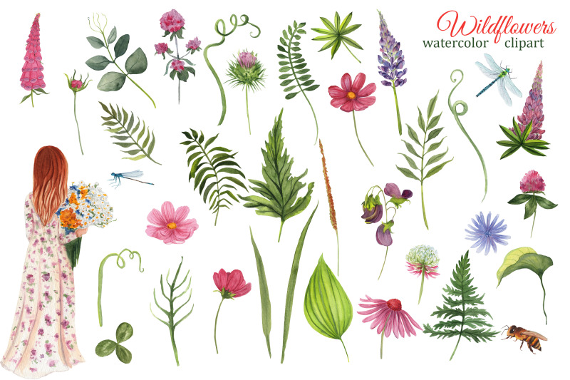 wildflowers-meadow-watercolor-clipart-summer-png