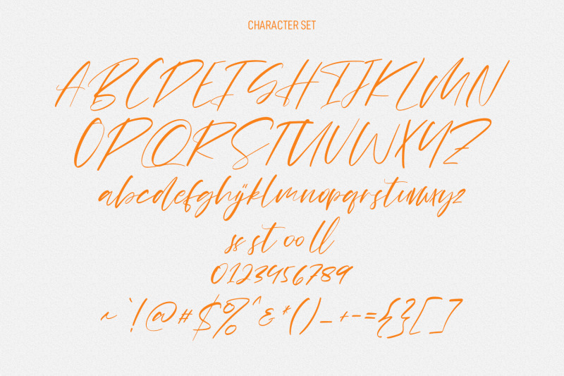 quiny-alissa-signature-script-font