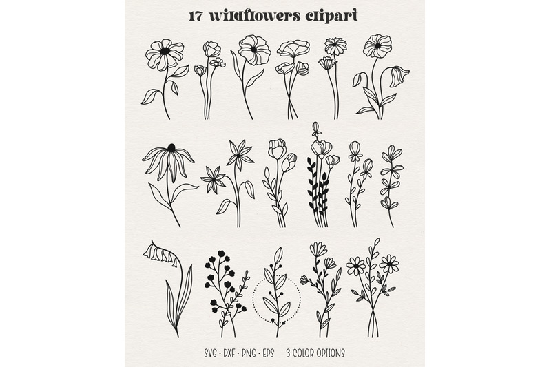magical-wildflowers-vector-svg