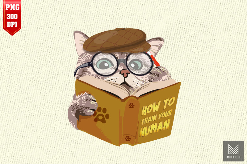 how-to-train-your-human-funny-cat-lovers