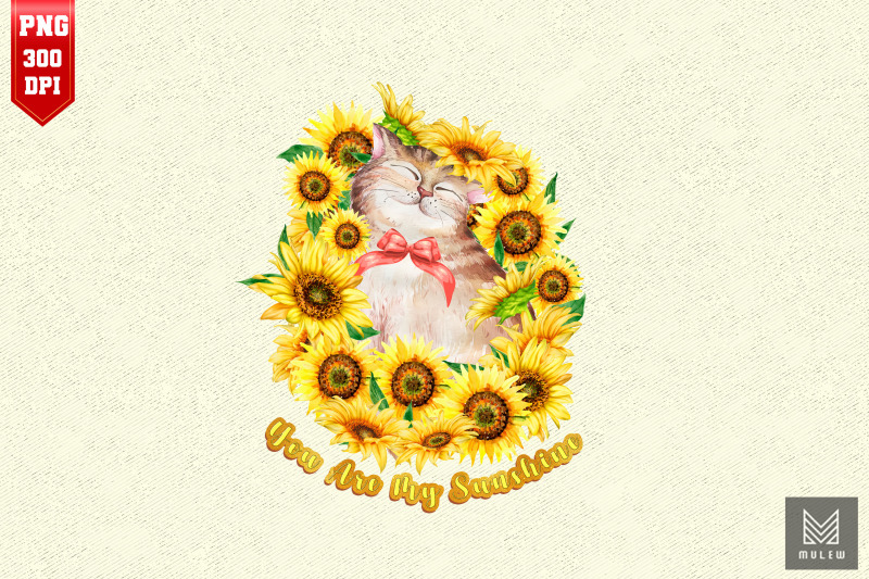 you-are-my-sunshine-cat-lover