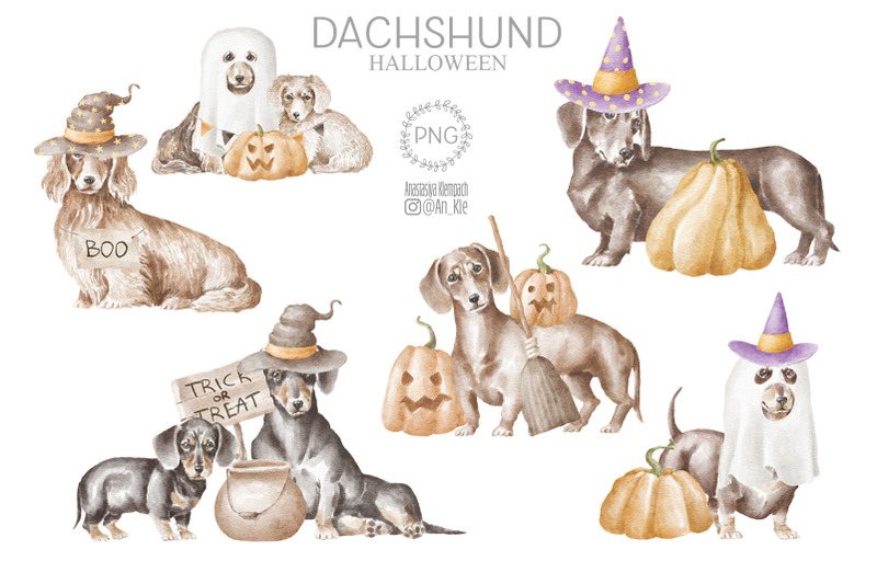 dachshund-dogs-and-puppies