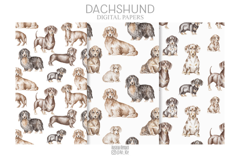 dachshund-dogs-and-puppies