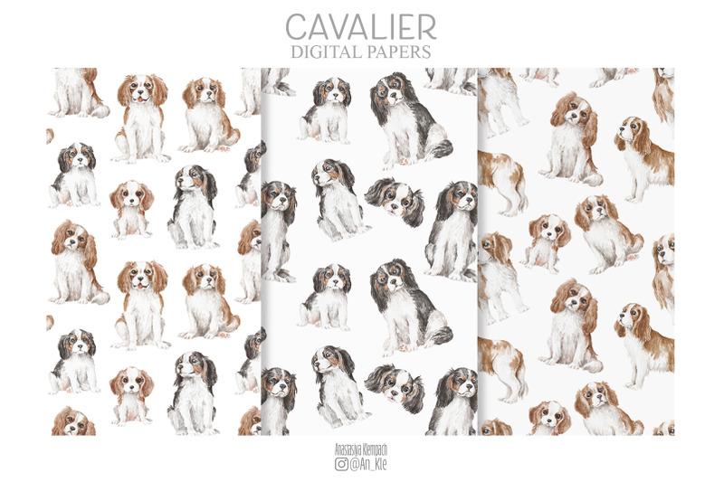 cavalier-king-charles-spaniel