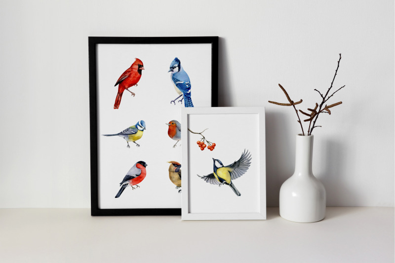 watercolor-bird-clipart-winter-birds-cardinal-bluejay-bullfinch-png