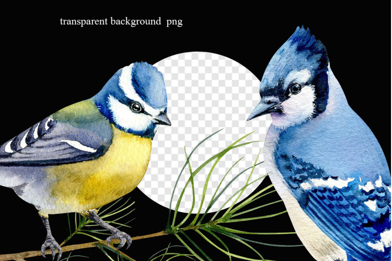 watercolor-bird-clipart-winter-birds-cardinal-bluejay-bullfinch-png