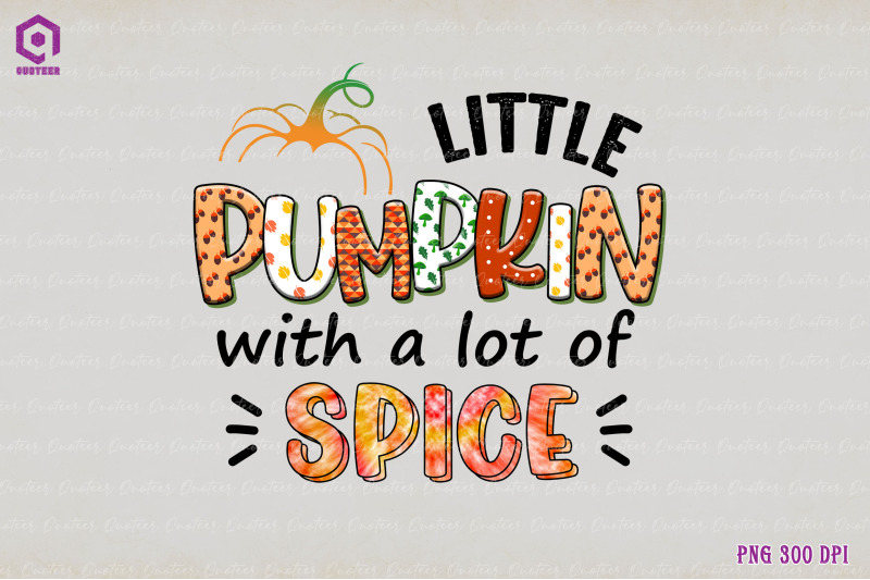 little-pumpkin-with-a-lot-of-spice