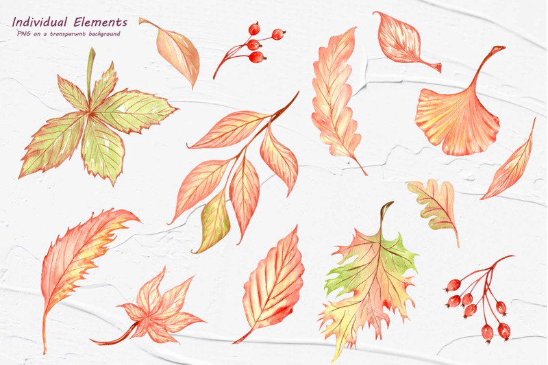 fall-leaves-watercolor-clipart