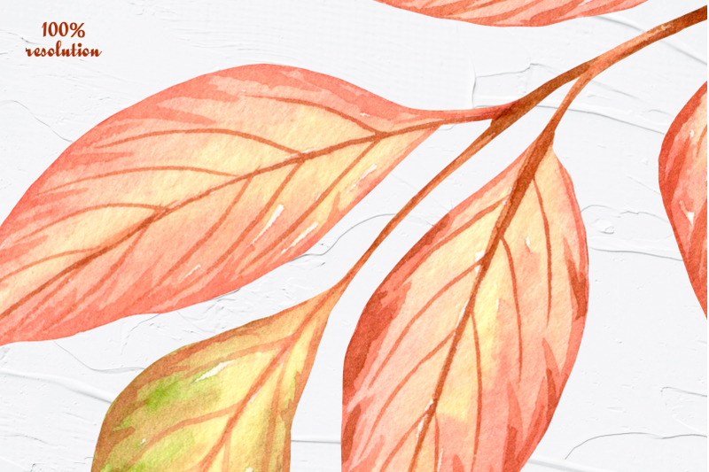 fall-leaves-watercolor-clipart