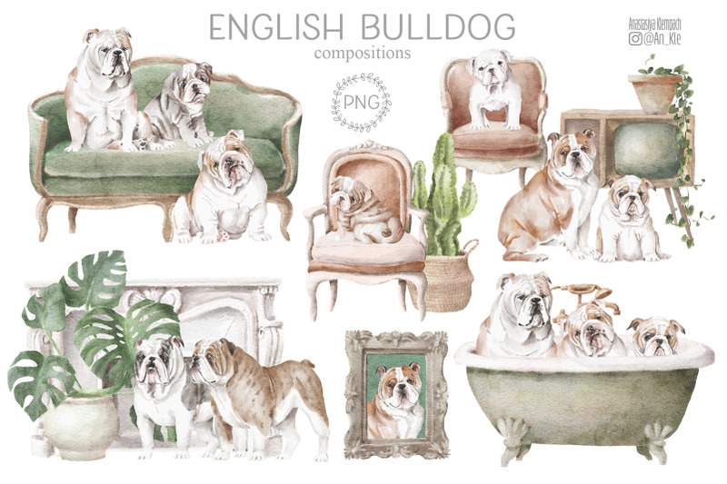 english-bulldog-dogs-and-puppies