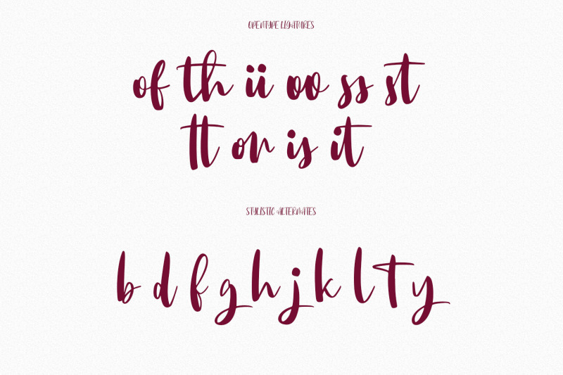 short-giffers-script-font-webfont