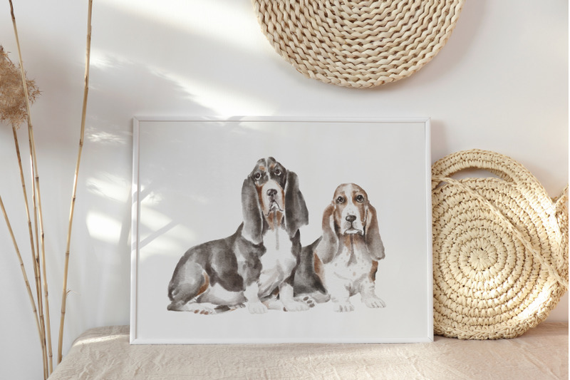 basset-hound-dogs-and-puppies