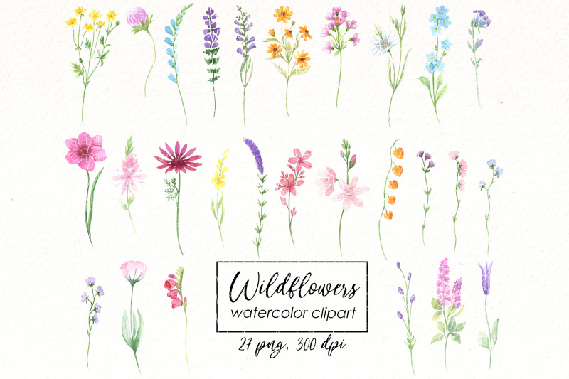 watercolor-wildflowers-clipart-bright-summer-flowers-png