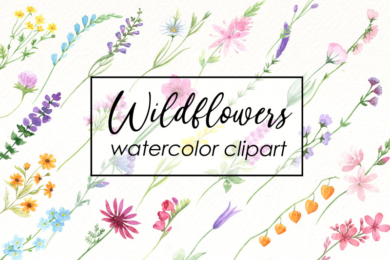 watercolor-wildflowers-clipart-bright-summer-flowers-png