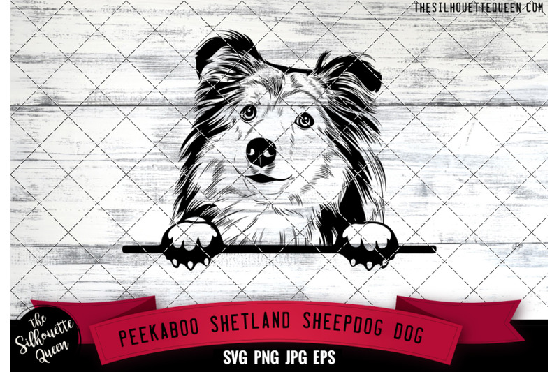 shetland-sheepdog-peek-a-boo-peekaboo-peeking-dog-face-svg