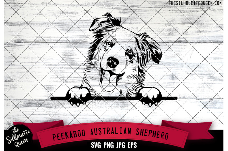 australian-shepherd-peek-a-boo-peekaboo-peeking-dog-face-svg