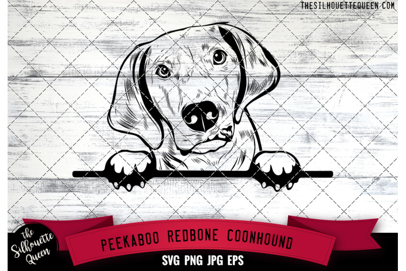 redbone-coonhound-peek-a-boo-peekaboo-peeking-dog-face