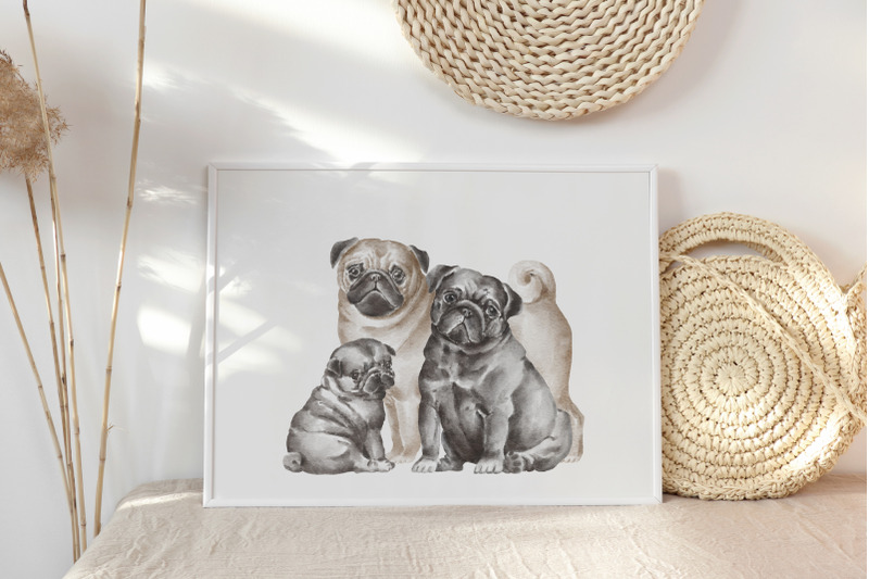 pug-dogs-clipart