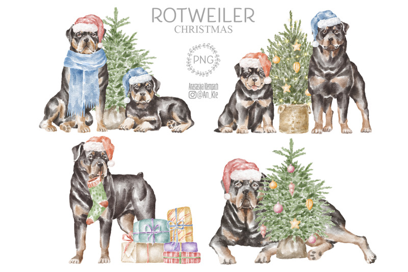 rottweiler-dogs-and-puppies