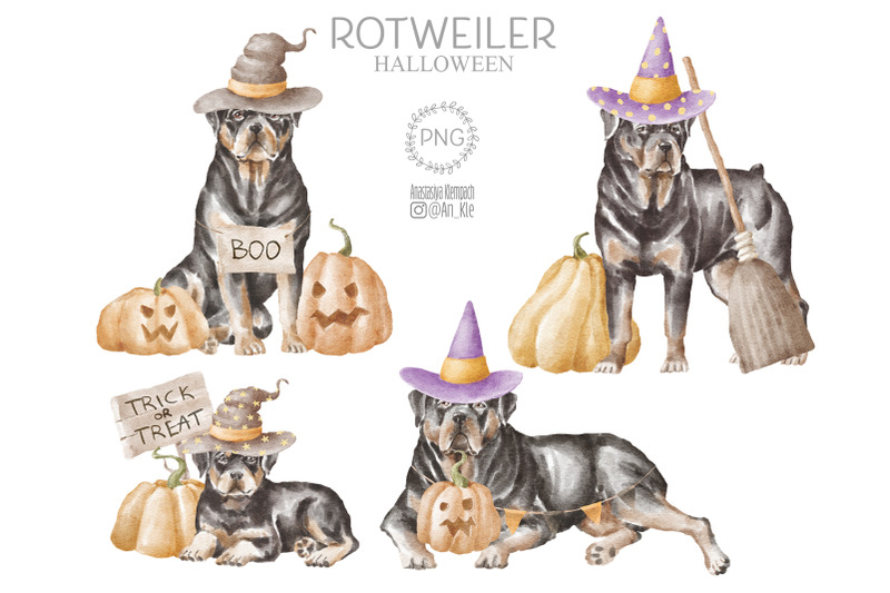rottweiler-dogs-and-puppies