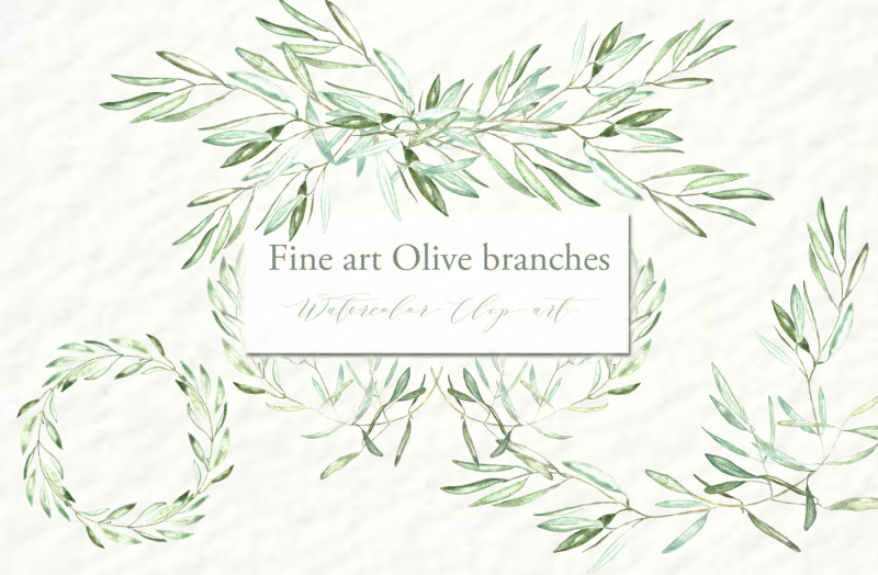 olive-branches-watercolor-clipart