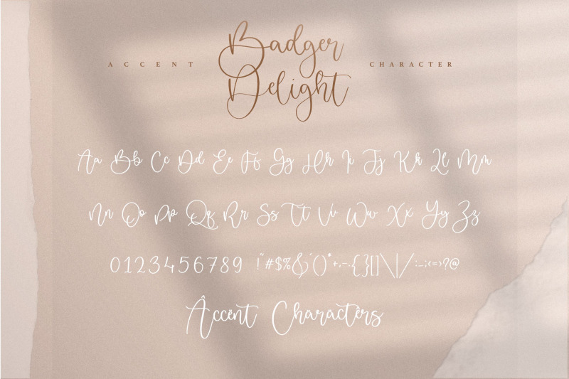badger-delight-modern-monoline-script-font