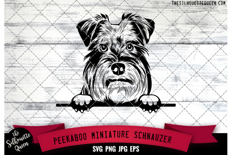 miniature-schnauzer-peek-a-boo-peekaboo-peeking-dog-face-svg